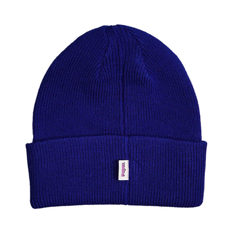 Shapka Blue Beanie