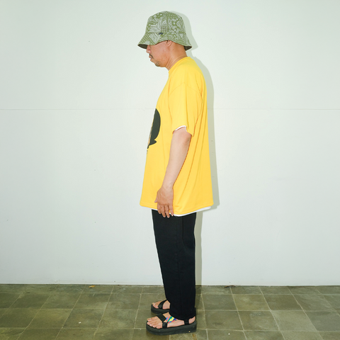 Papaya Yellow