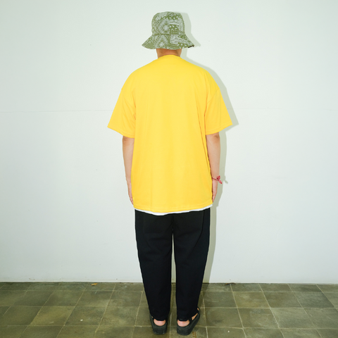 Papaya Yellow