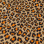 Anatolia Leopard Shirt Motif