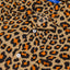 Anatolia Leopard Shirt Motif