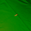 Embro Long Green